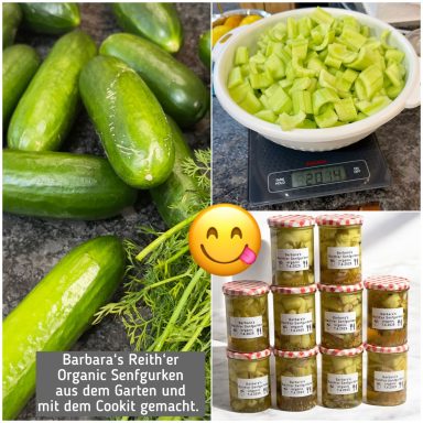 Reith'er Senfgurken - Foto (C) 2025 Dieter Rudolf